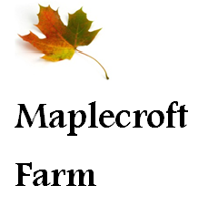 Maplecroft Logo